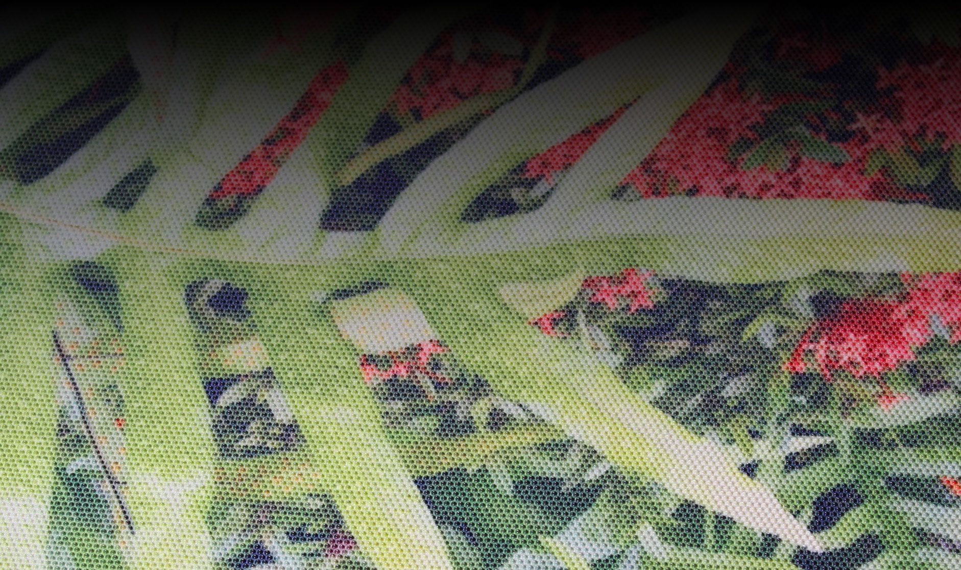 Slide background
